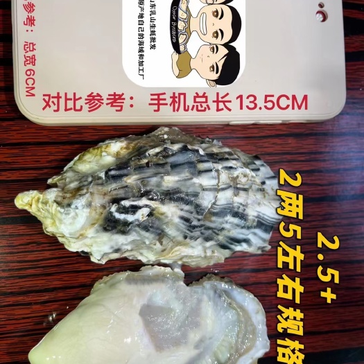 深圳2.5+精品乳山蚝