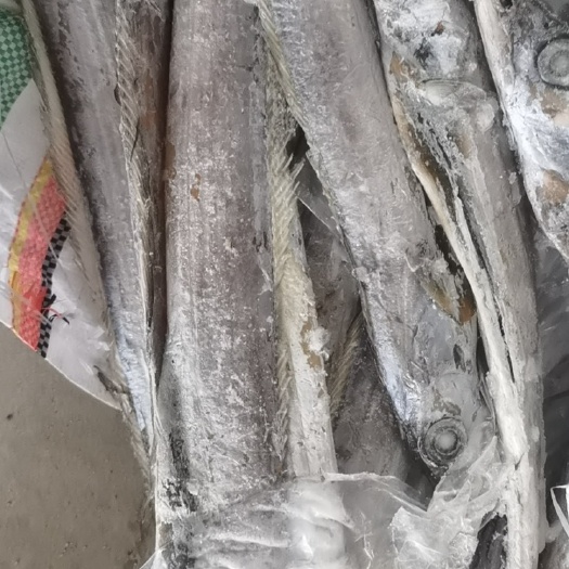 鱼肥，各种杂物饲料鱼，