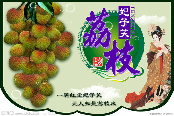 廉江市<热销>广东廉江良垌十万亩荔枝产地，妃子笑、桂味、鸡嘴代办。