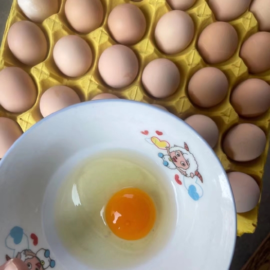 散养土鸡蛋 常年供应 蛋黄大 蒸煮炒金黄色  新杨黑
