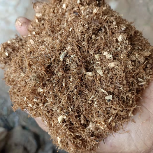 卫辉市金针菇根