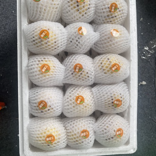昆明（市场货）人参果特大果市场货，熟果黄果发货