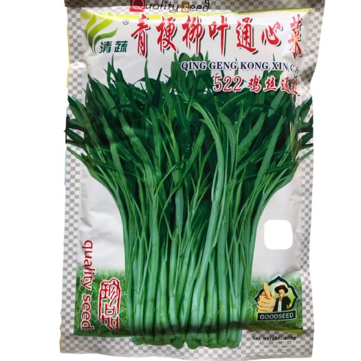 空心菜种子 空心菜种籽青梗柳叶通心菜种子522鸡丝空心菜种籽