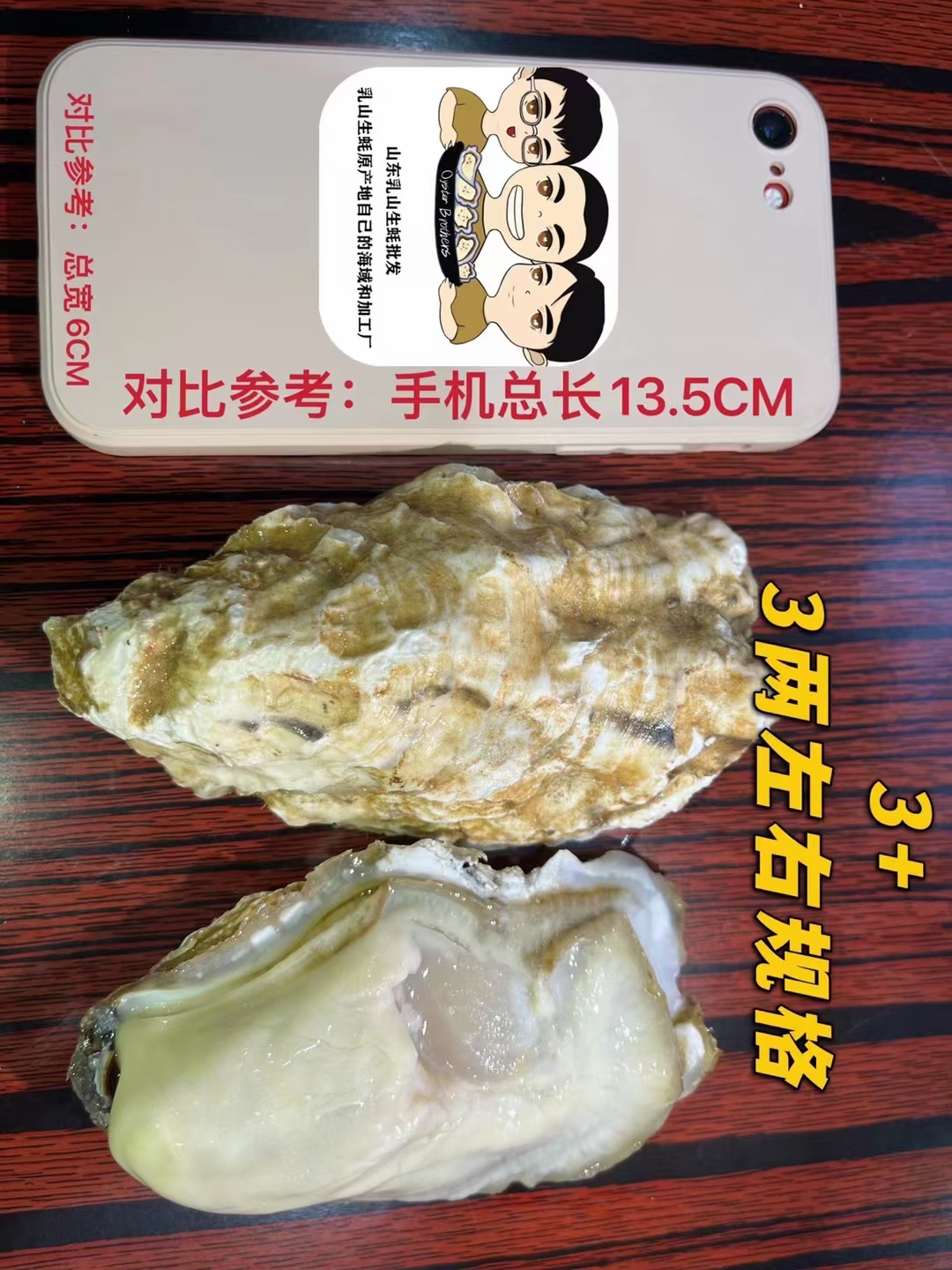 3+精品乳山生蚝