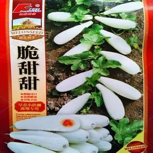 脆甜甜甜瓜种子 结瓜多口感好