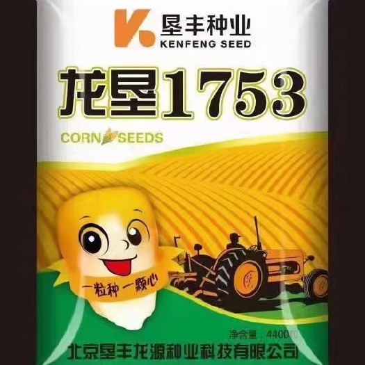 龙垦1753，国审白轴大棒，北大荒垦丰种业出品，苗旺秆壮长势