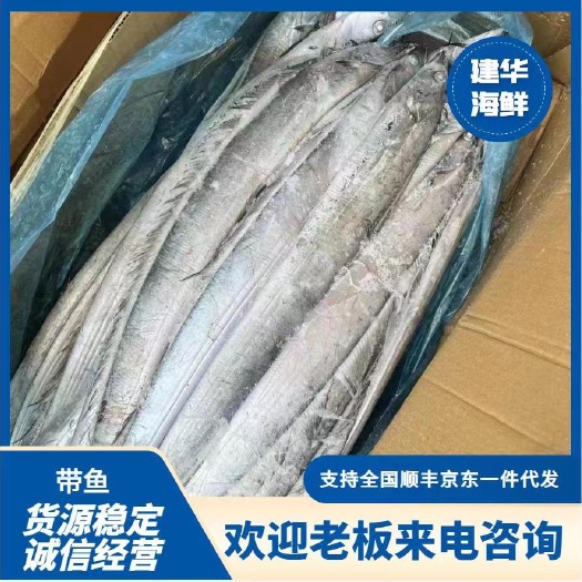 连云港带鱼（3-4两）支持一件代发