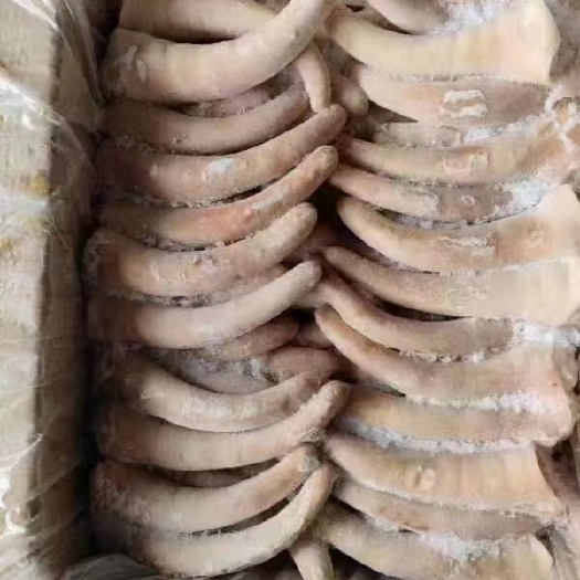 沂南县猪短尾  中尾   长尾