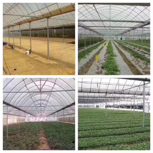 睢宁县蔬菜暖棚