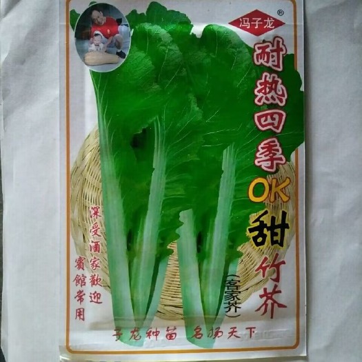 长沙大叶芥菜种子留种老品种酸菜籽棒菜种子蔬菜种孑春夏秋四季播包邮