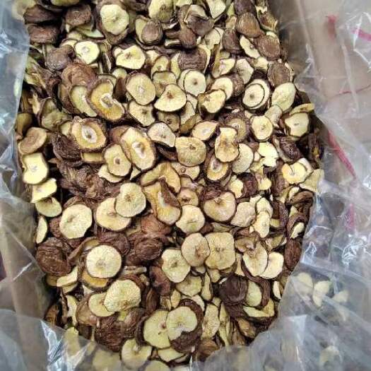 香信菇   平叶菇    带脚菇