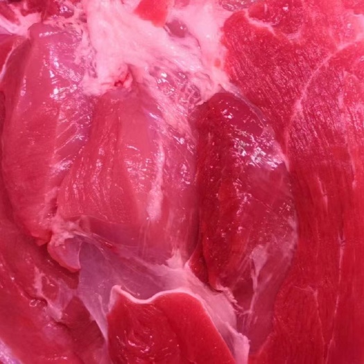 鲜前槽后丘精肉，厂家直销，大量现货，批发
