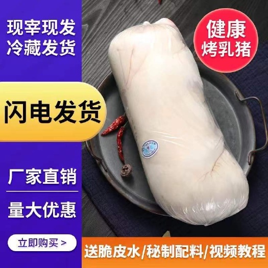 乳猪整只新鲜小乳猪冷冻猪脆皮小香猪3-40斤酒店烧烤食材厂家