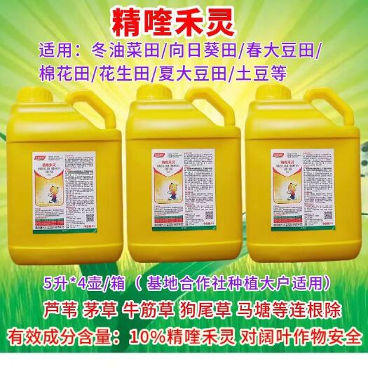 郑州农药精喹禾灵除草剂高浓度苗后尖叶草牛筋草精奎禾灵乳油批发瓶装