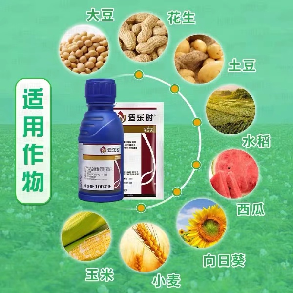 先正达 适乐时 咯菌腈农药杀菌种衣剂拌种剂萎灰霉菌核病