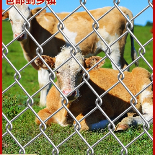 安平县包邮圈牛羊猪网热镀锌勾花网铁丝网养殖围栏网拦鸡网防护网隔离网