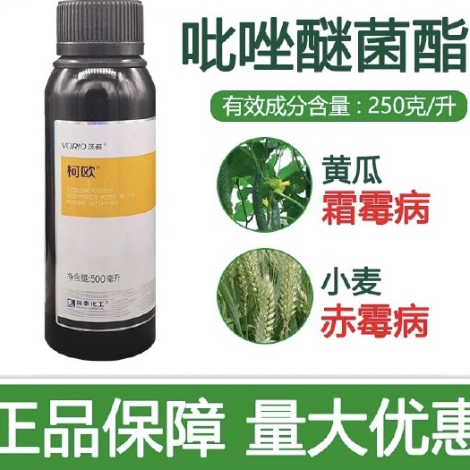 深泰化工柯欧25%吡唑醚菌酯小麦赤霉病黄瓜霜霉病农药杀菌剂