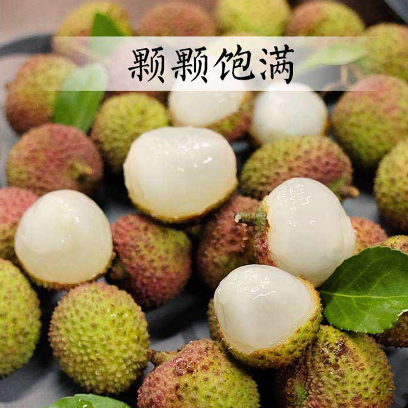广东茂名高州根子镇妃子笑荔枝新鲜现摘批发果大核小