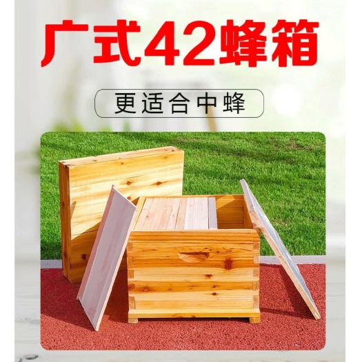 黎平县42蜜蜂箱小型广式中蜂蜂箱养蜂工具专用杉木诱蜂箱蜜蜂箱批发全