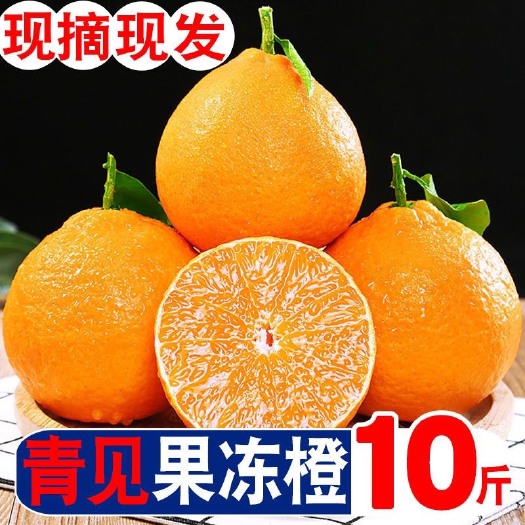资阳四川青见柑橘果冻橙产地直发一件代发整车代办橘子桔子3斤5斤9