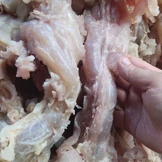 阳信县熟带皮牛副筋， 厂家直销一手货源价格优惠欢迎采购