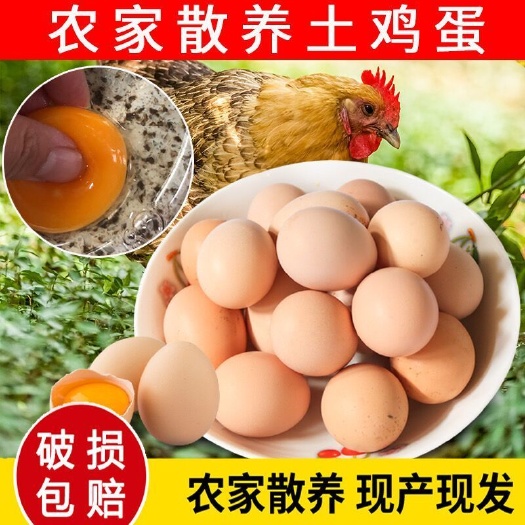 南召县一件代发土鸡蛋