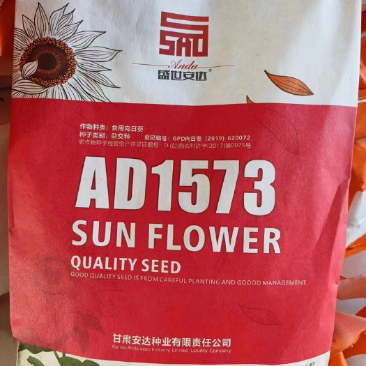 赤峰安达1573葵花种子
