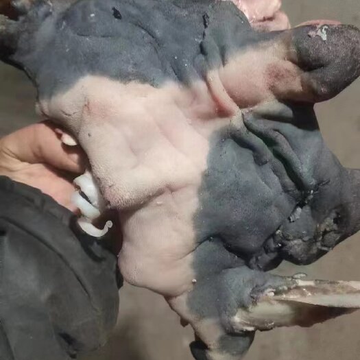 熟花羊脸肉