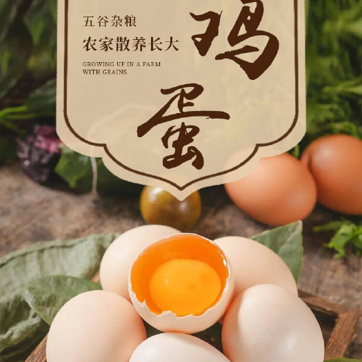 大城县农村杏树林自养自足蛋鸡。鸡蛋快递开箱录视频为证，破了赔付