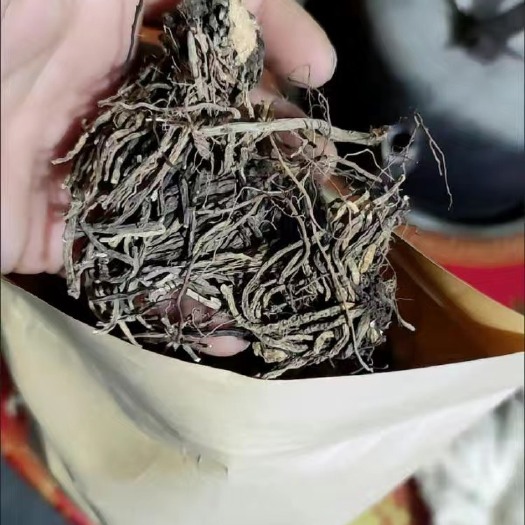 亳州藜芦