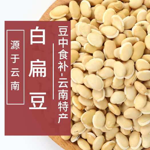 亳州白扁豆  批发干货白扁豆 产地一手货源可供大货 量大从优