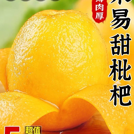 米易县米易甜枇杷5斤新鲜当季攀枝花水果现摘农家琵琶大果整箱包邮
