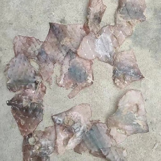 青岛鱿鱼干，残尾巴，干度好，出成率高，一手货源，