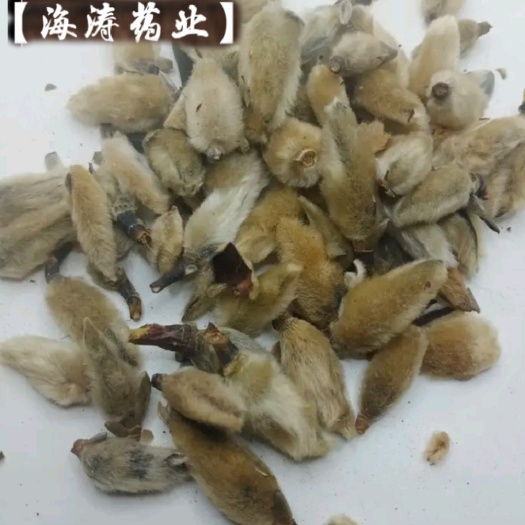 【辛夷花】产地河南实物拍摄一手货源大货供应规格齐全量大优惠。