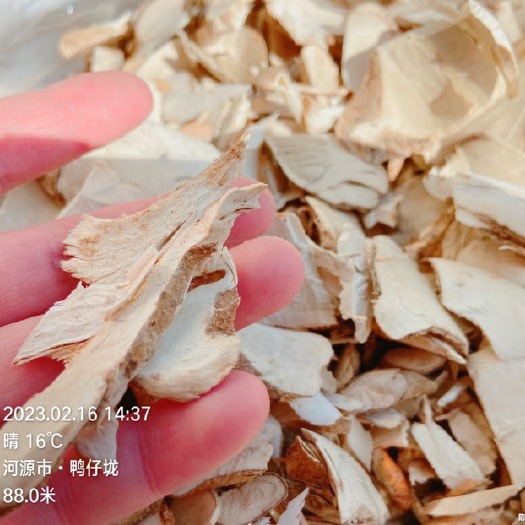 紫金县土茯苓，硬饭头