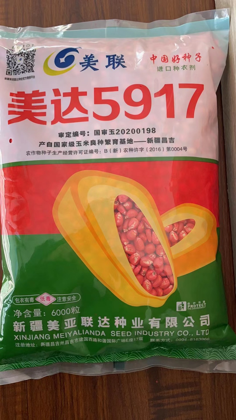 国审美联5917抗倒伏能力强、棒子大产量高地区2500