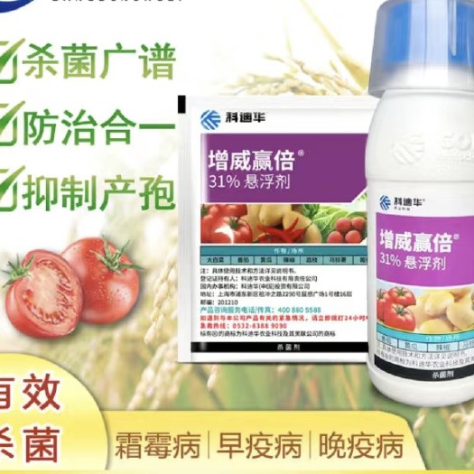 南宁杜邦增威赢倍噁酮氟噻唑 辣椒黄瓜番茄霜霉病晚早疫病农药杀菌