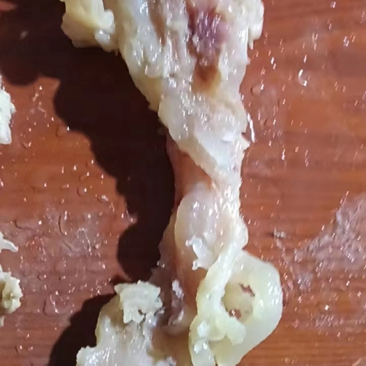 阳信县牛主筋
