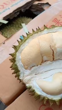 凭祥市金枕榴莲