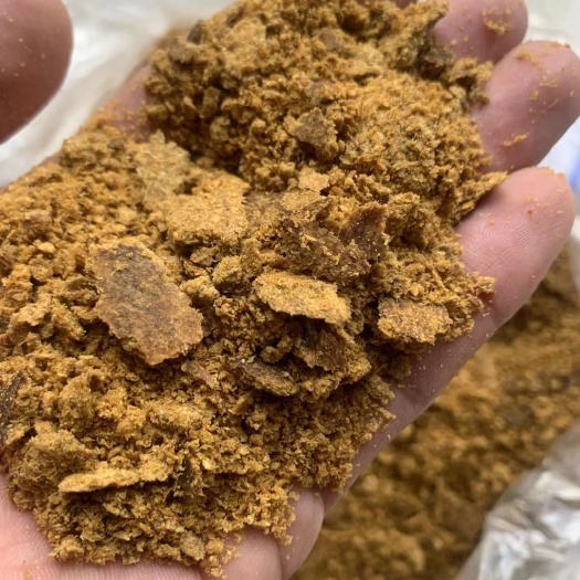 巨鹿县玉米油饼