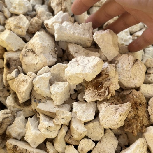 景谷县云南茯苓无硫晒干烘干乱白坨