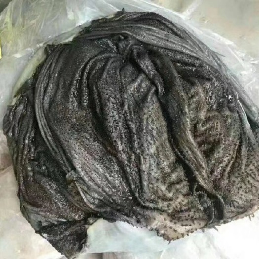 上海南非A+/A/B/D 四规格盐干牛百叶 最后两柜可定