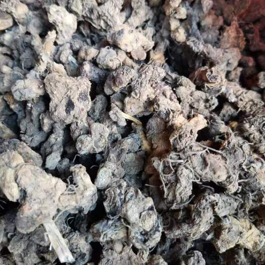 黎平县黄精，干黄精，三蒸三晒过了，敢保证是大山货
