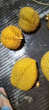 南宁榴莲