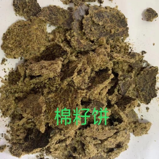 石家庄棉饼        棉子饼  高蛋白  量大从优  诚信经营