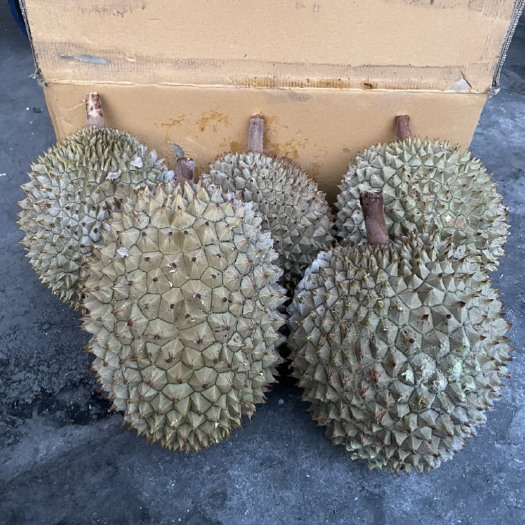 广州液氮干尧