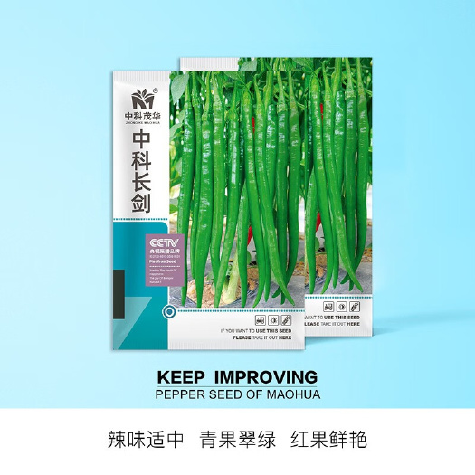 夏邑县中科长剑特长线椒种子