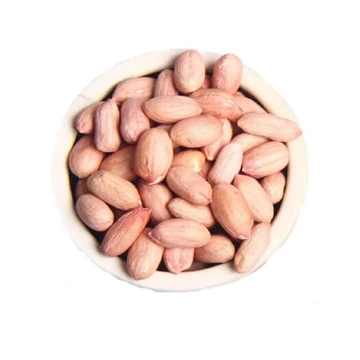 东海县新花生米生新货优质粉皮新鲜大粒花生米不带壳榨油白沙花生仁