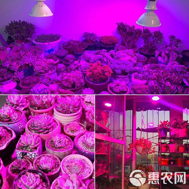 全光谱植物补光灯灯