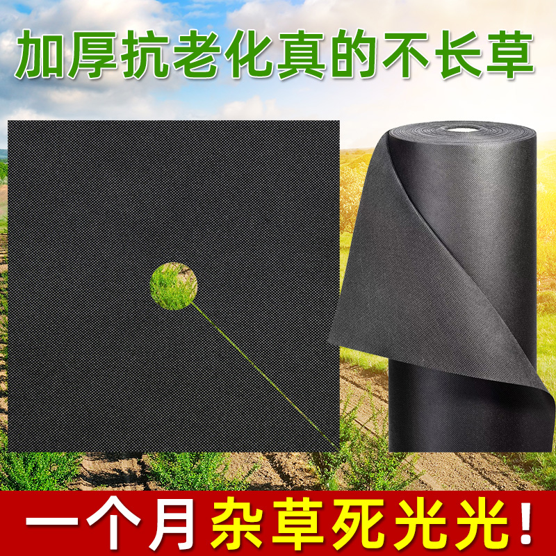 东莞市果园果树防草布透水透气抗老化保湿除草布厂家直销现货